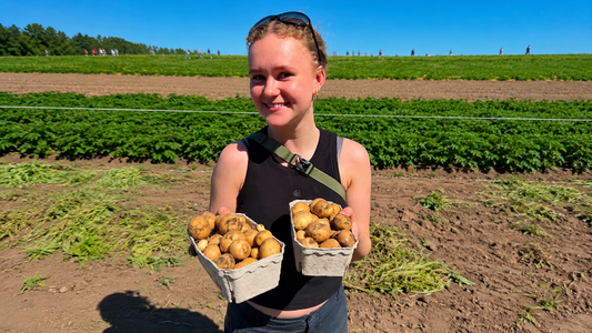 Ændring i lågen fra Plukselv Aarhus 🥔